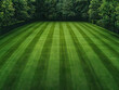 © photobuay - lush green lawn with perfectly mowed stripes, surrounded by dense trees and hedges, creating serene outdoor space