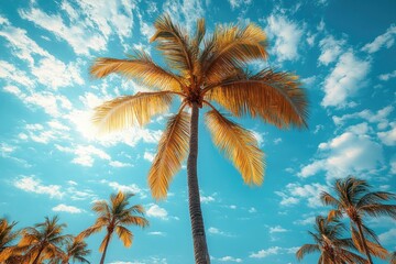 Aufkleber - A palm tree standing tall against a bright blue sky, great for travel or nature-themed images