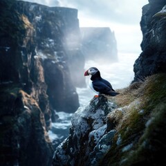 Poster - A bird sits comfortably on the edge of a cliff, overlooking the vast ocean below