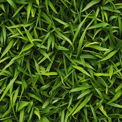 Poster - A close-up shot of lush green grass with tiny details visible, ideal for using in environmental or nature-themed contexts