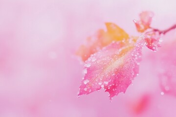 Poster - A close-up view of a leaf with water droplets glistening on its surface