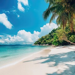 Wall Mural - A hammock hanging between two palm trees on a sunny beach, perfect for relaxation