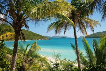 Canvas Print - A serene beach scene with palm trees in the foreground, perfect for use in travel or vacation marketing materials