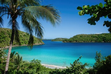 Aufkleber - A serene coastal scene featuring a palm tree standing tall at the edge of the water