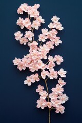 Poster - Close-up shot of a bright pink flower set against a calm blue background