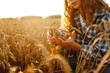 © maxbelchenko - A woman farmer in a wheat field checks the harvest, quality. Agriculture food industry. Rich harvest.
