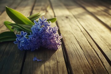 Poster - A collection of purple flowers arranged on a rustic wooden table, perfect for use in still life photography, botanical illustrations or home decor designs