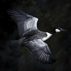 Poster - A goose soaring through the sky with its wings spread out, ready for takeoff