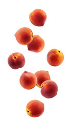 Wall Mural - falling peach isolated on white background, full depth of field