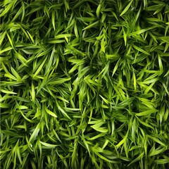 Aufkleber - A detailed shot of lush green blades of grass
