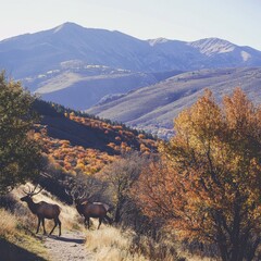 Aufkleber - A group of elk making their way along a dirt path, likely in a rural or wilderness setting
