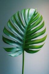 Aufkleber - A single green leaf on a table, great for decorative or educational use