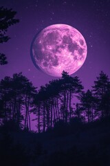 Wall Mural - full moon night sky