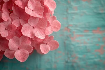Poster - A detailed view of a collection of bright pink flowers