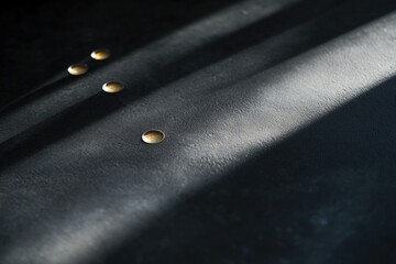 Poster - A close-up view of a bag featuring multiple buttons