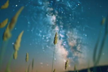 Poster - A serene landscape with a clear view of the stars in the night sky