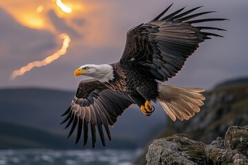 Poster - A bald eagle soars above a rugged cliffside, a symbol of freedom and power