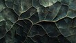 © Chandlerlikes - Closeup macro of exotic sage green tropical jungle leaf with veins texture , stylized earthy moody natural background with copy space