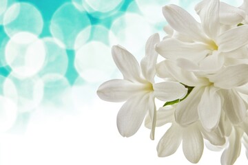 Poster - A bouquet of white flowers placed on a table, suitable for various occasions