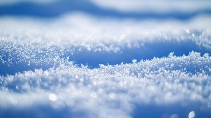 Poster - A close-up shot of a snowy surface with intricate details and textures