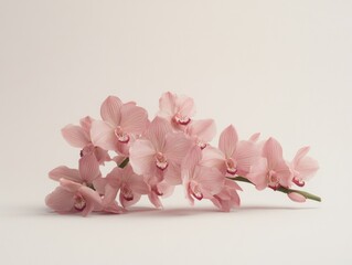 Wall Mural - Pink flowers on white surface