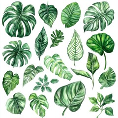 Aufkleber - Beautifully illustrated tropical leaves in watercolor style