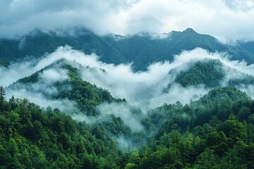Poster - A serene landscape shot of a mountain shrouded in mist and clouds, perfect for use as a background or to add atmosphere to your project