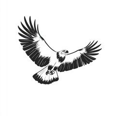 Poster - A close-up illustration of a bird of prey's face in black and white, ideal for use in editorial or educational contexts