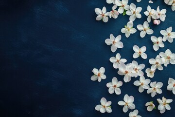 Poster - A close-up shot of white flowers on a blue surface, perfect for adding a touch of elegance to any design