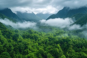 Poster - A serene natural landscape with dense foliage and majestic mountain peaks