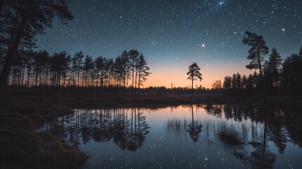 Wall Mural - Starry night over a tranquil forest lake.