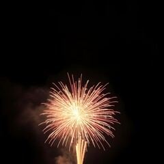image of fireworks exploding on black background generative ai