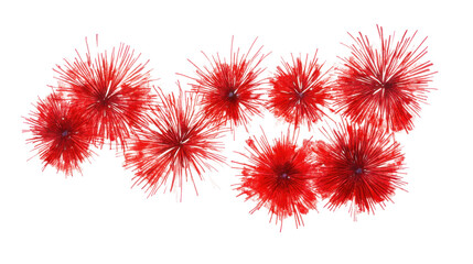 Poster - Fireworks transparent background