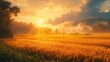 © Ali - Golden rice field, sunset, misty hills, figures.