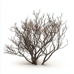 Wall Mural - dead bush tree 3d render isolated on white background