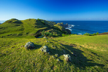 the view of the vast blue sea and the green hills stretching out