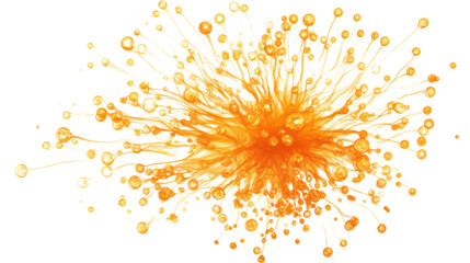 Poster - Fireworks transparent background