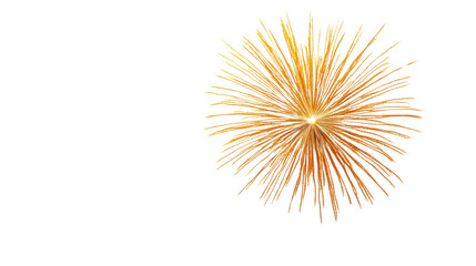 Poster - Fireworks transparent background