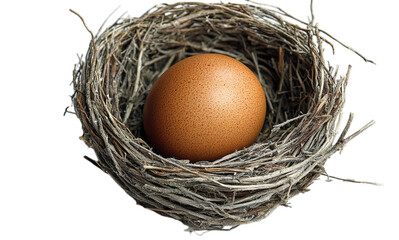 Wall Mural - A single brown egg resting in a natural bird's nest