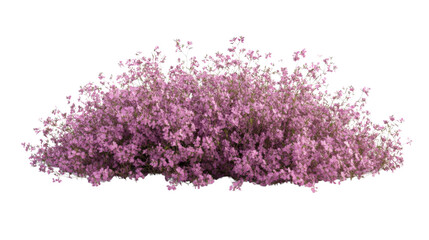 Wall Mural - Flower transparent background