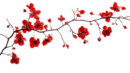 Wall Mural - Hanging flowers transparent background