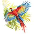 © ali - A watercolor drawing of a macaw flying above the canopy, soaring over lush green treetops, isolated on a white background. Macaw canopy vector.