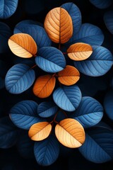 Poster - Elegant Blue and Orange Leaves Abstract Botanical Photography