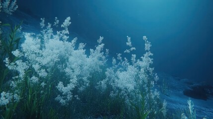  Oxygen-rich particles glowing softly against a serene blue background, ethereal effect 