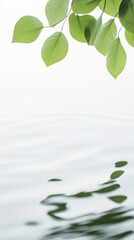 Poster - Fresh green leaves reflect on calm water, creating serene atmosphere