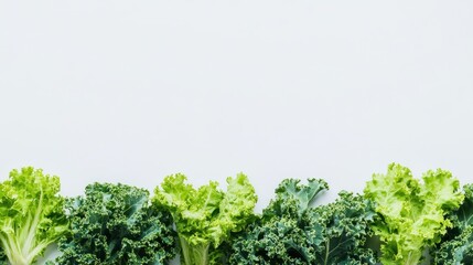 Wall Mural - Fresh green leaves of kale and lettuce arranged in a horizontal border against a light gray background.