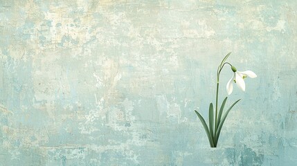 Poster - Minimalist Composition Featuring a Single Snowdrop on Textured Blue Background