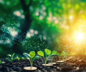 Poster - Digital Growth of Seedlings in Lush Green Environment with Abstract Connections and Light Effects, copy space for text
