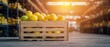 © ธนากร บัวพรหม - Fresh lemons in a wooden crate, illuminated by warm sunlight in a storage warehouse.
