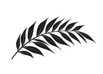 Wall Mural - Palm leaf isolated on a white background